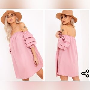 Pretty Little Things things Lucinndar Cotton Ruched Bardot Sleeve Shift Dress